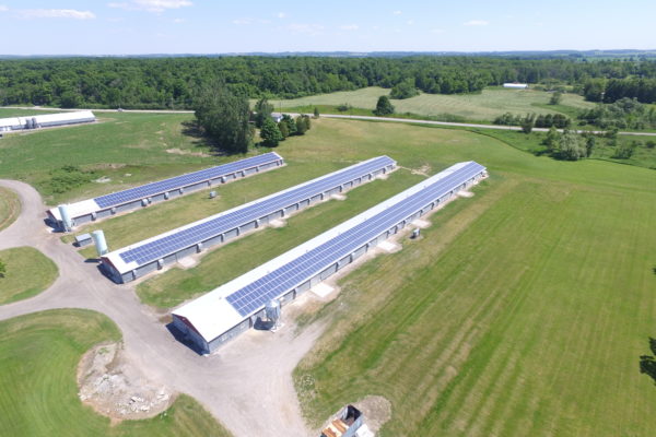 Aerial view of solar panels on barn roofs