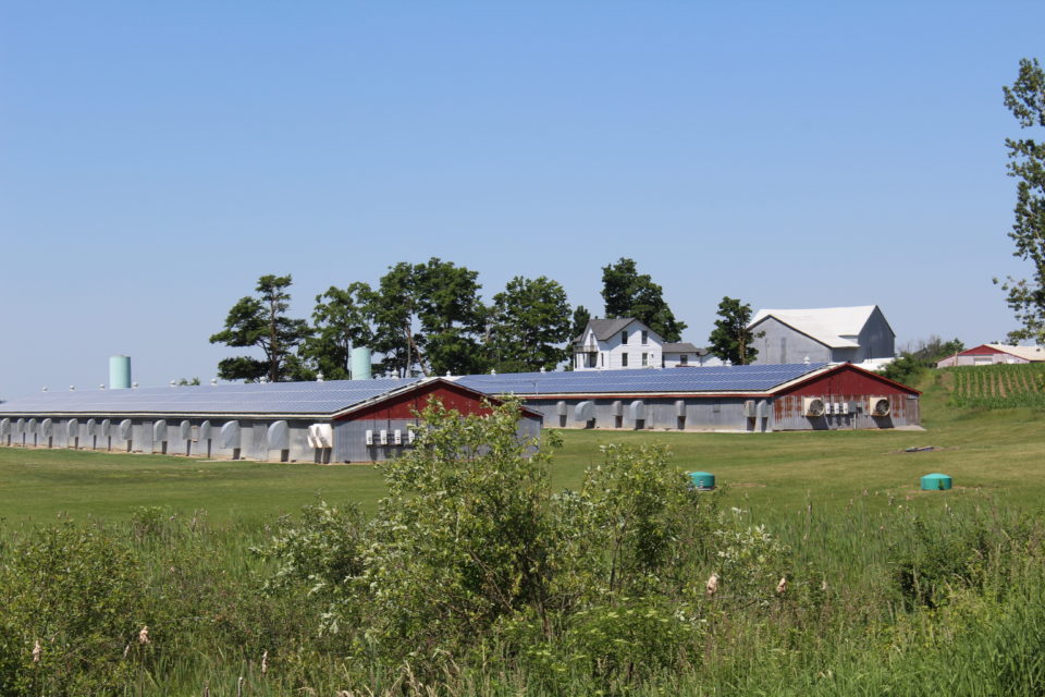 Rooftop solar on barns