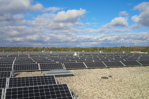 Solar panels on gravel rooftop in Guelph