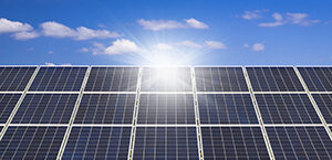 Sunlight gleams off solar panels in wild flower field